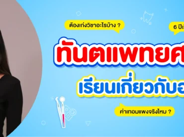 เจาะลึก คณะทันตแพทย์