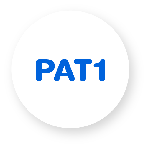 ข้อสอบ PAT1