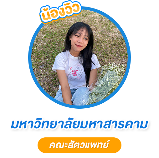 SMP-Discount-เพิ่มน้องน้องวิว