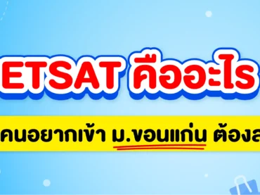 Netsat คืออะไร ?