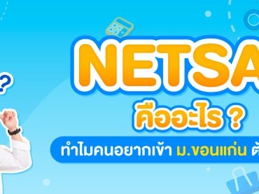 Netsat คืออะไร ?