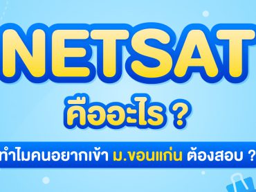 Netsat คืออะไร ?