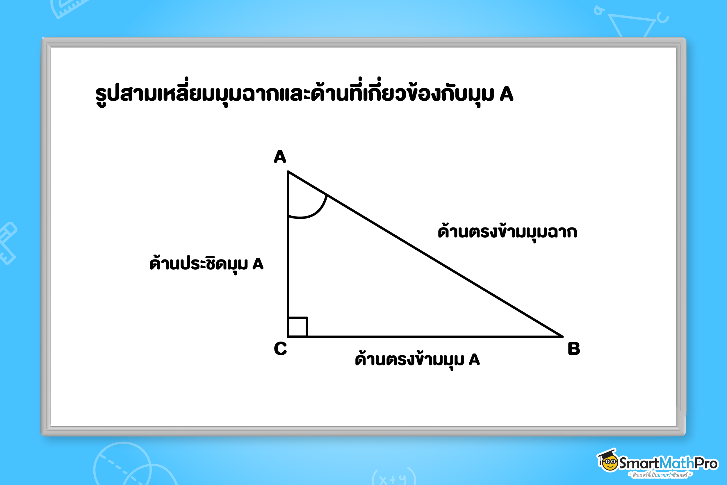 รูปสามเหลี่ยมมุมฉากและด้านที่เกี่ยวข้องกับมุม A ในตรีโกณมิติ ม.3