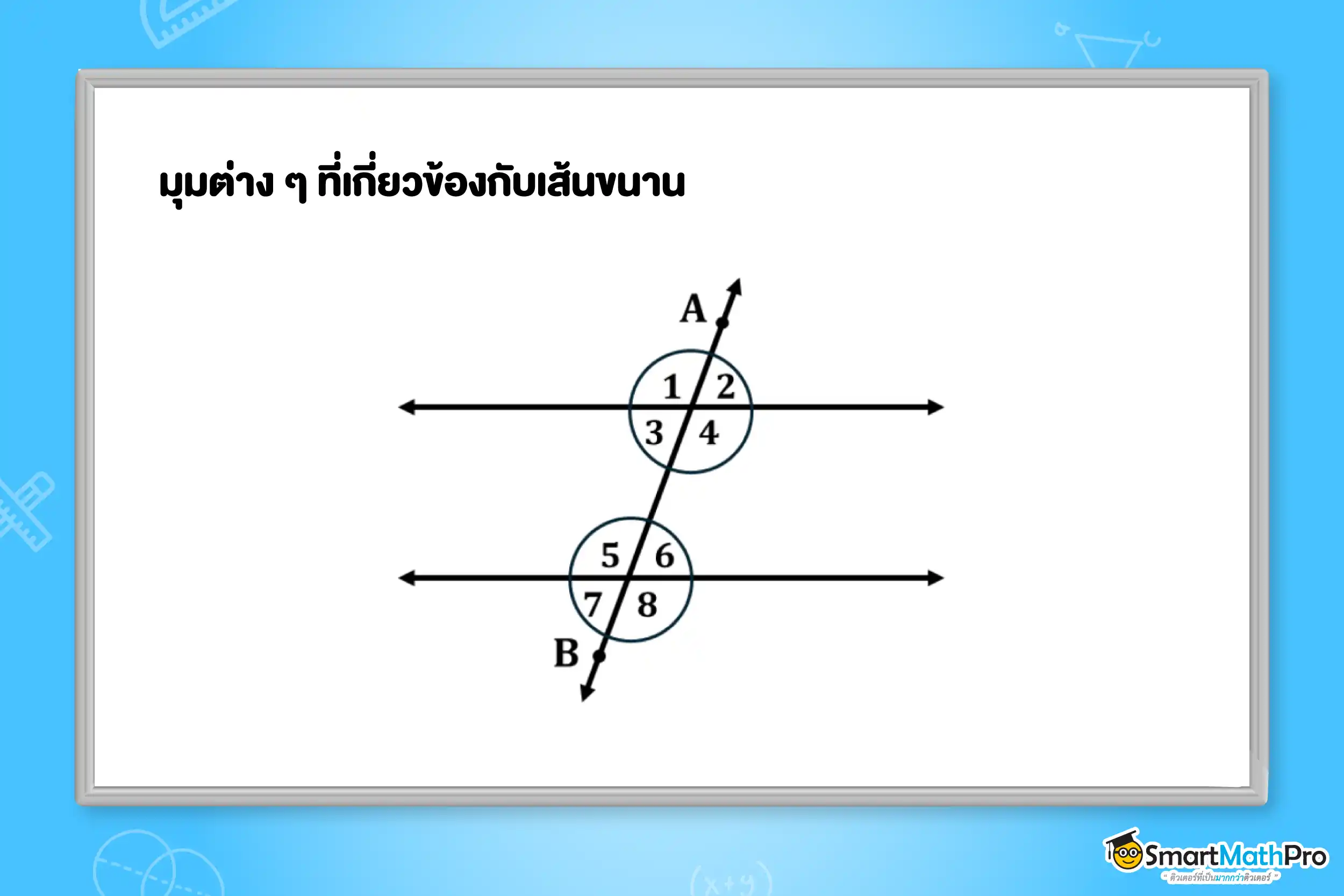 มุมต่าง ๆ ที่เกี่ยวข้องกับเส้นขนาน