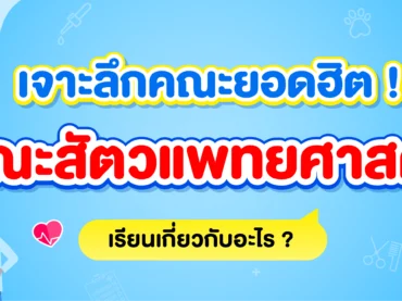 คณะสัตวแพทยศาสตร์ เรียนเกี่ยวกับอะไร มีมหาลัยฯ ไหนสอนบ้าง ?