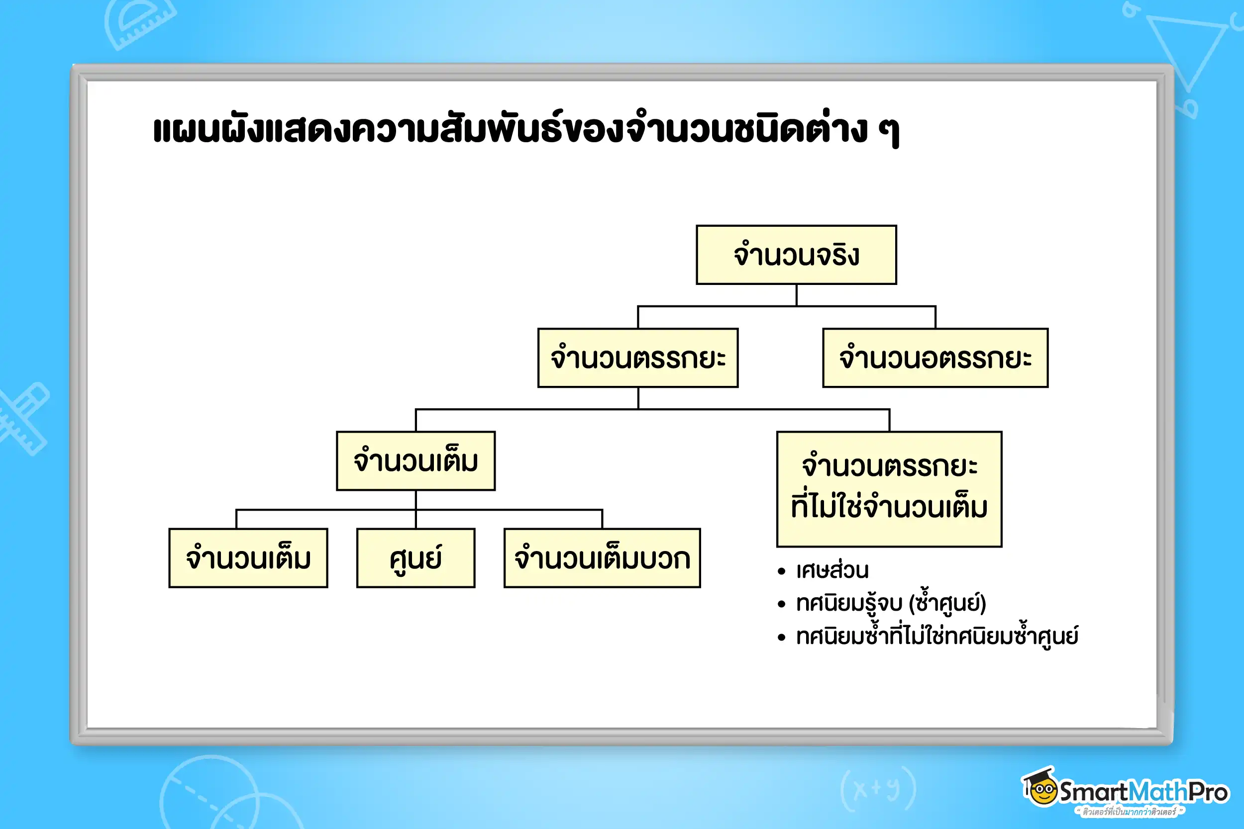 แผนผังแสดงความสัมพันธ์ของจำนวนชนิดต่าง ๆ