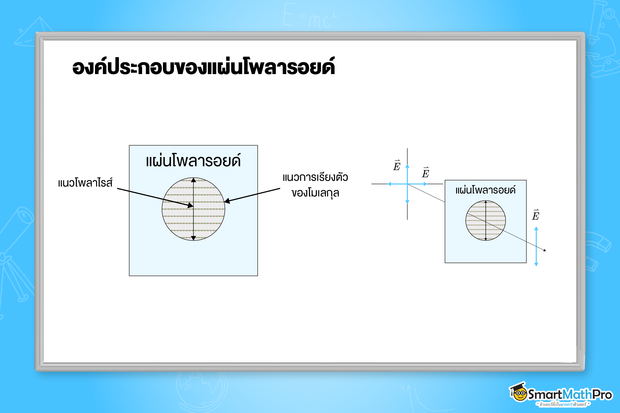 องค์ประกอบของแผ่นโพลารอยด์