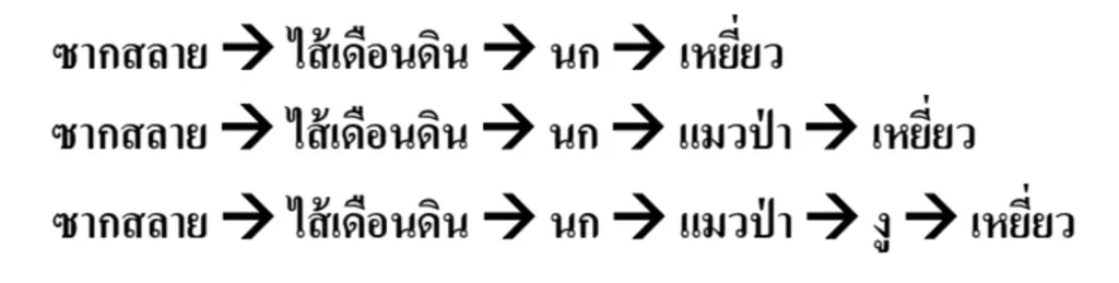 เฉลยข้อสอบ A-Level ชีววิทยา 2