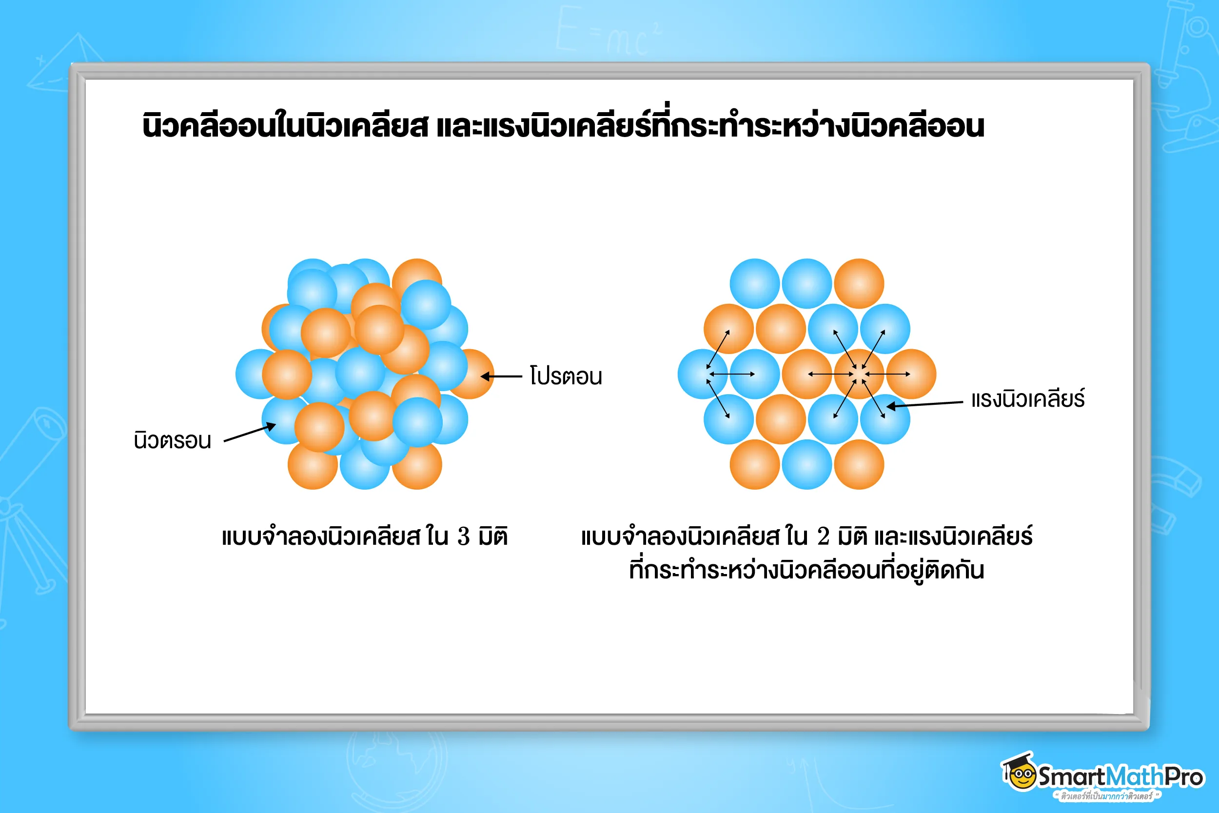 นิวคลีออนในนิวเคลียส และแรงนิวเคลียร์ที่กระทำระหว่างนิวคลีออน