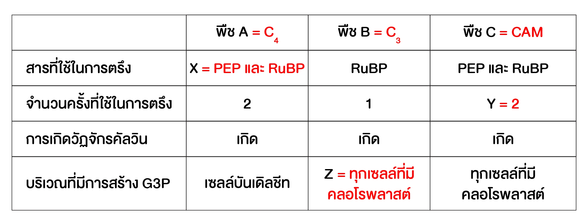 เฉลยตัวอย่างข้อสอบที่ใช้เทคนิคตารางสรุป