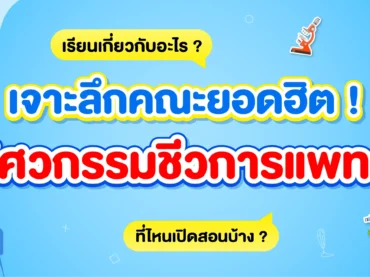 วิศวกรรมชีวการแพทย์ คืออะไร เรียนอะไร ทำงานอะไรได้บ้าง ?