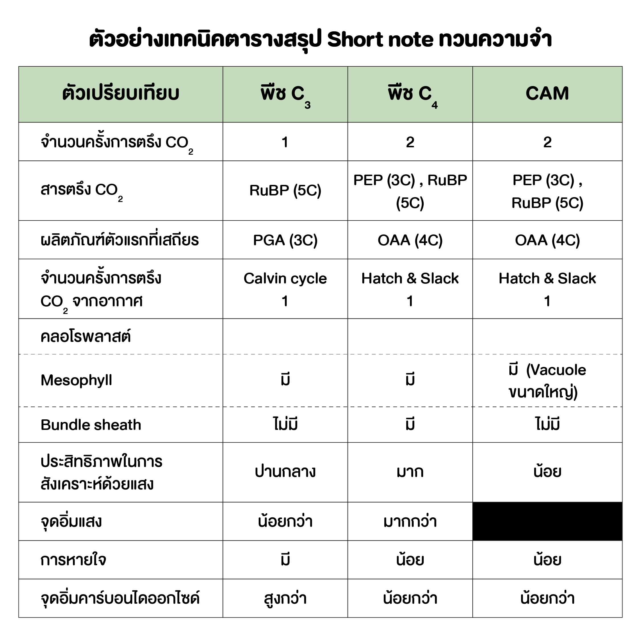ตัวอย่างเทคนิคตารางสรุป Short note ทวนความจำ