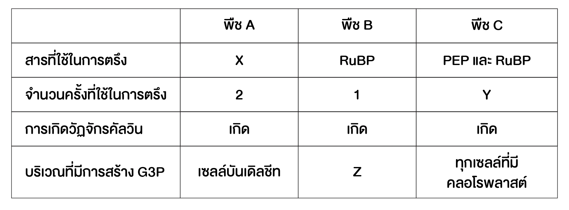 ตัวอย่างข้อสอบที่ใช้เทคนิคตารางสรุป