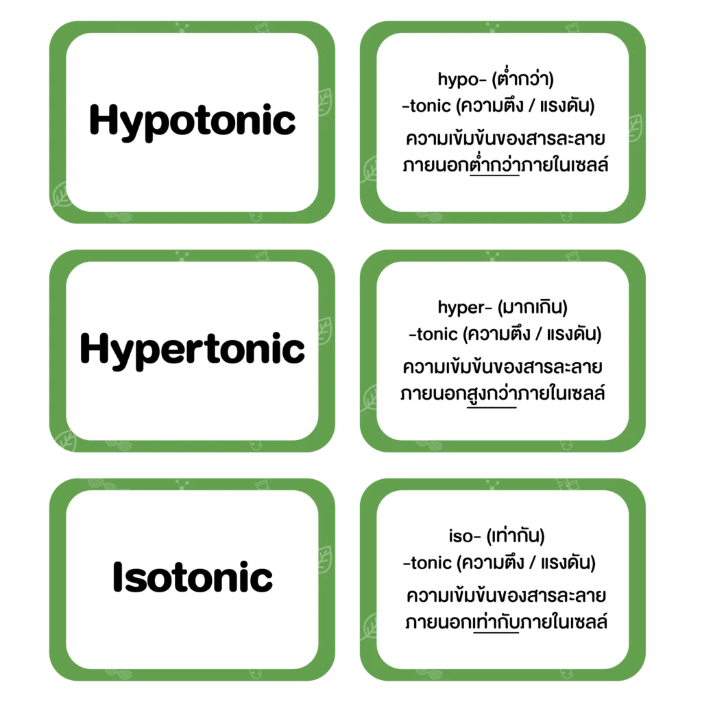 แฟลชการ์ดวิชาชีววิทยา