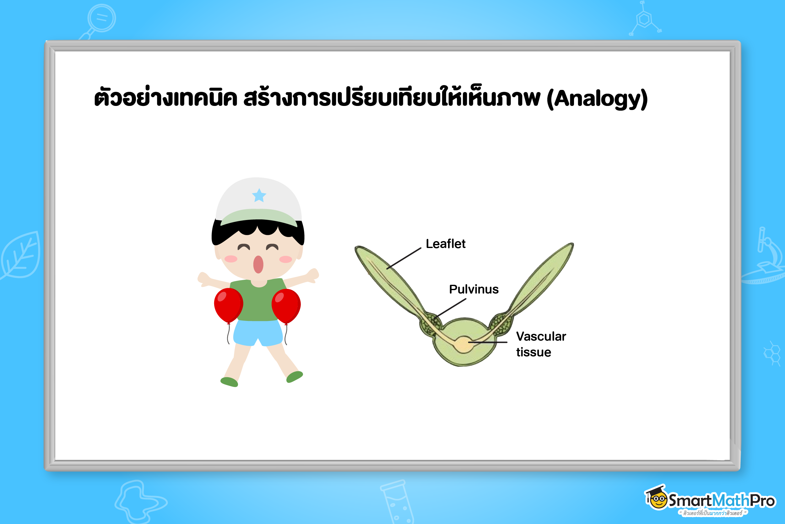 ตัวอย่างการสร้างการเปรียบเทียบให้เห็นภาพ (Analogy)
