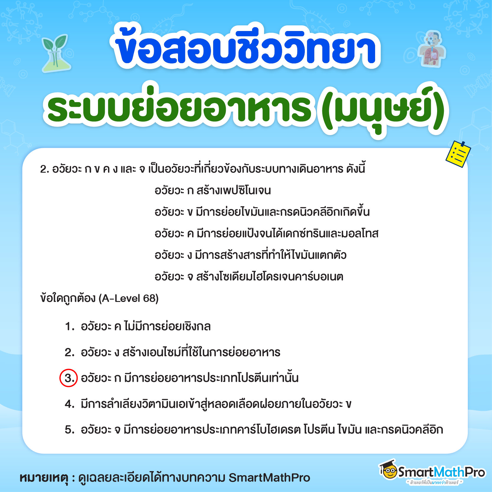 ข้อสอบระบบย่อยอาหารมนุษย์ (มนุษย์) ข้อที่ 2