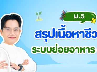 ระบบย่อยอาหารมนุษย์ ม.5