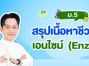 สรุปเนื้อหาชีววิทยา เอนไซม์ Enzyme
