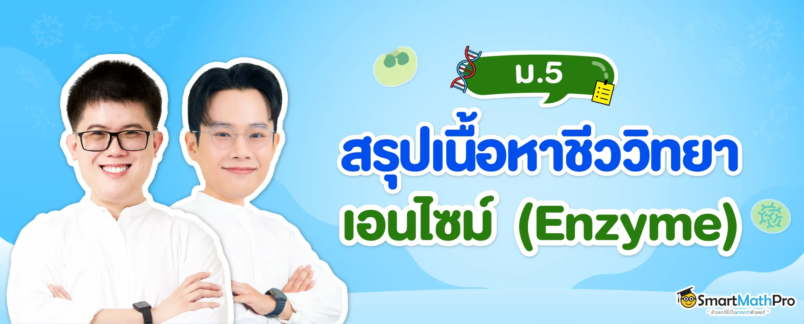 สรุปเนื้อหาชีววิทยา เอนไซม์ Enzyme