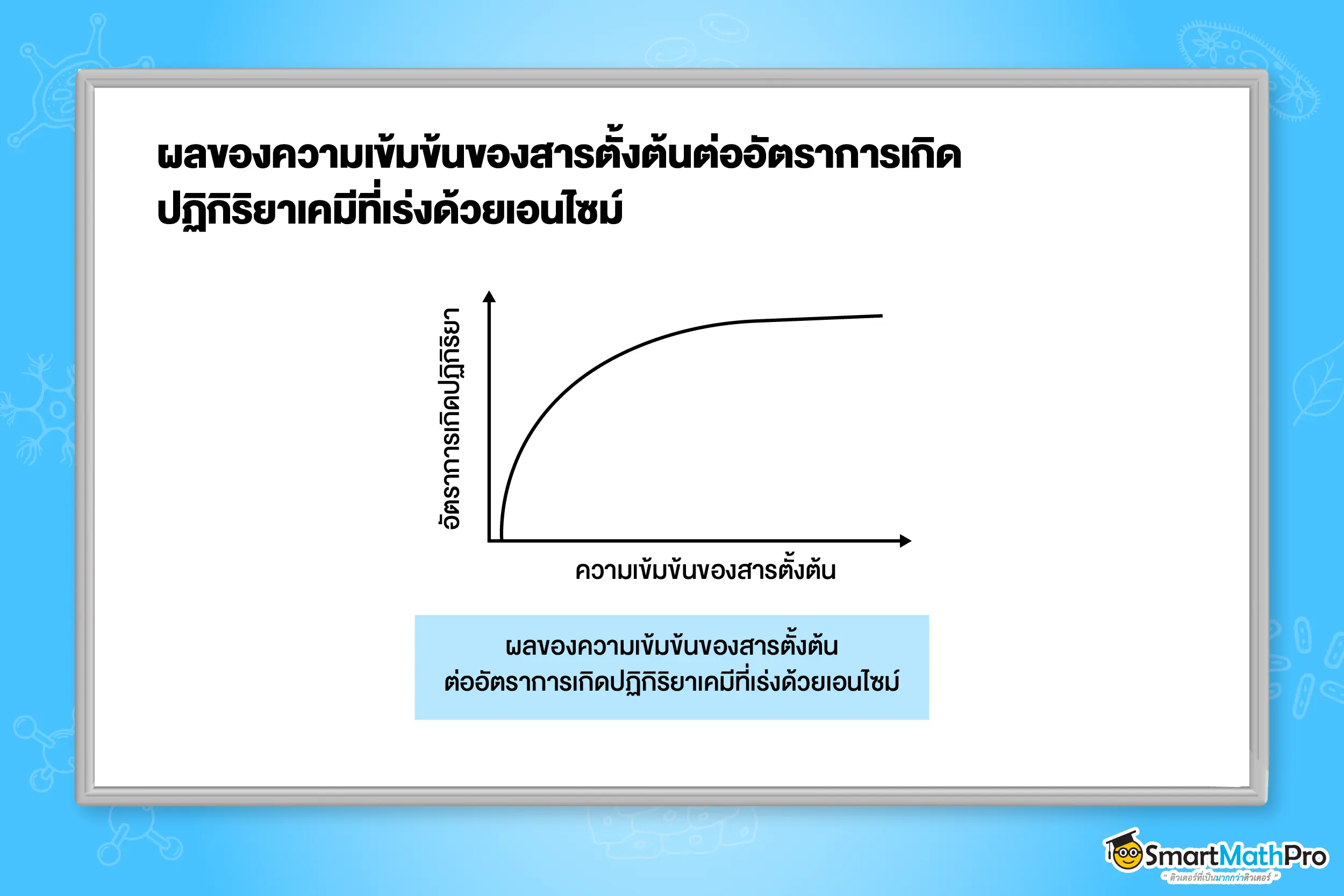 ผลของความเข้มข้นของสารตั้งต้นต่ออัตราการเกิดปฏิกิริยาเคมีที่เร่งด้วยเอนไซม์