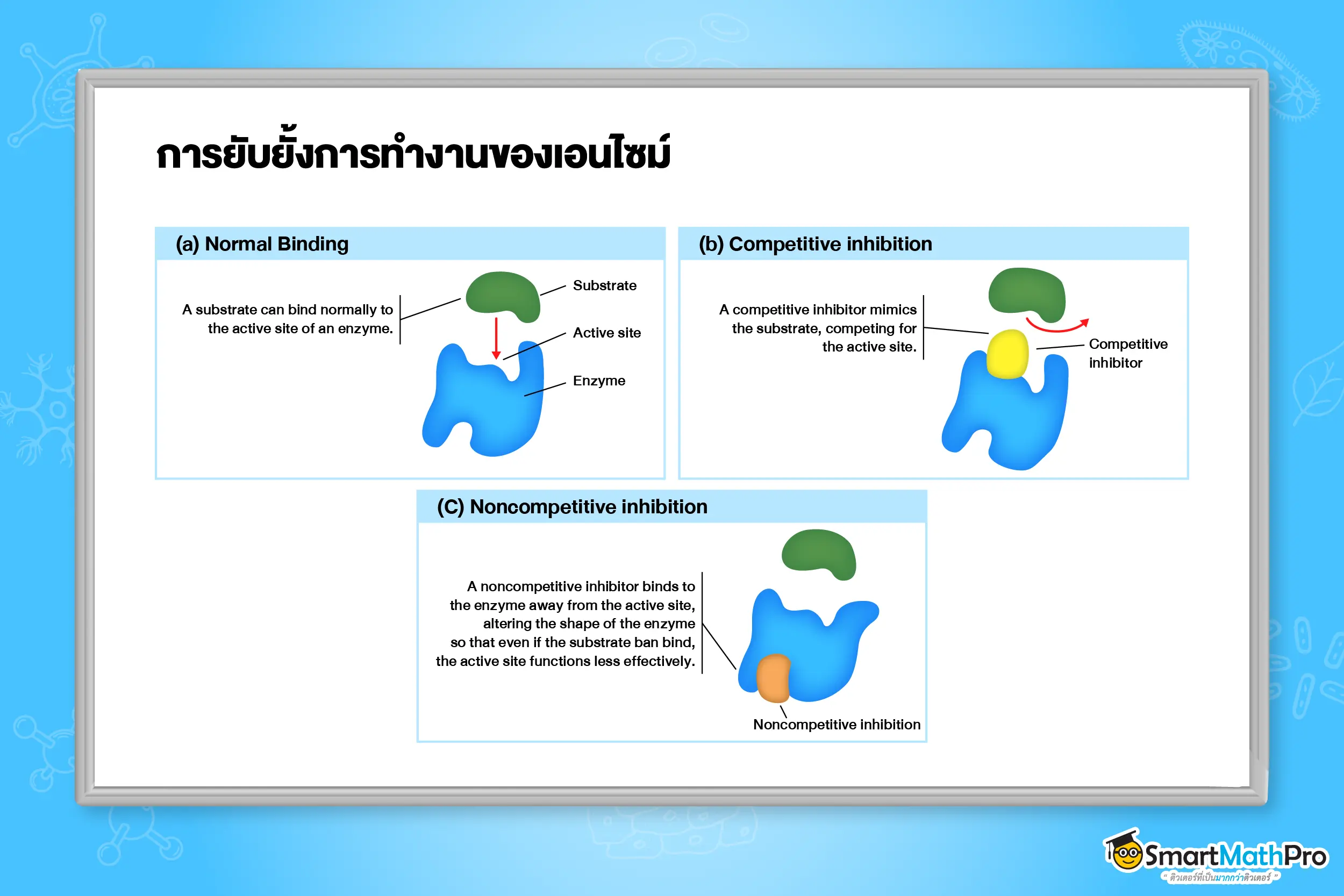 การยับยั้งการทำงานของเอนไซม์