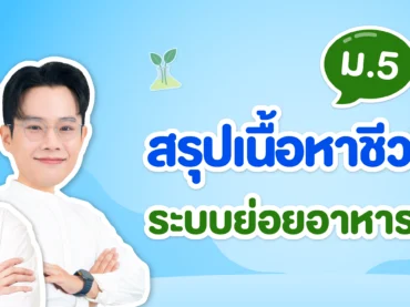 ระบบย่อยอาหารของสัตว์ - 1