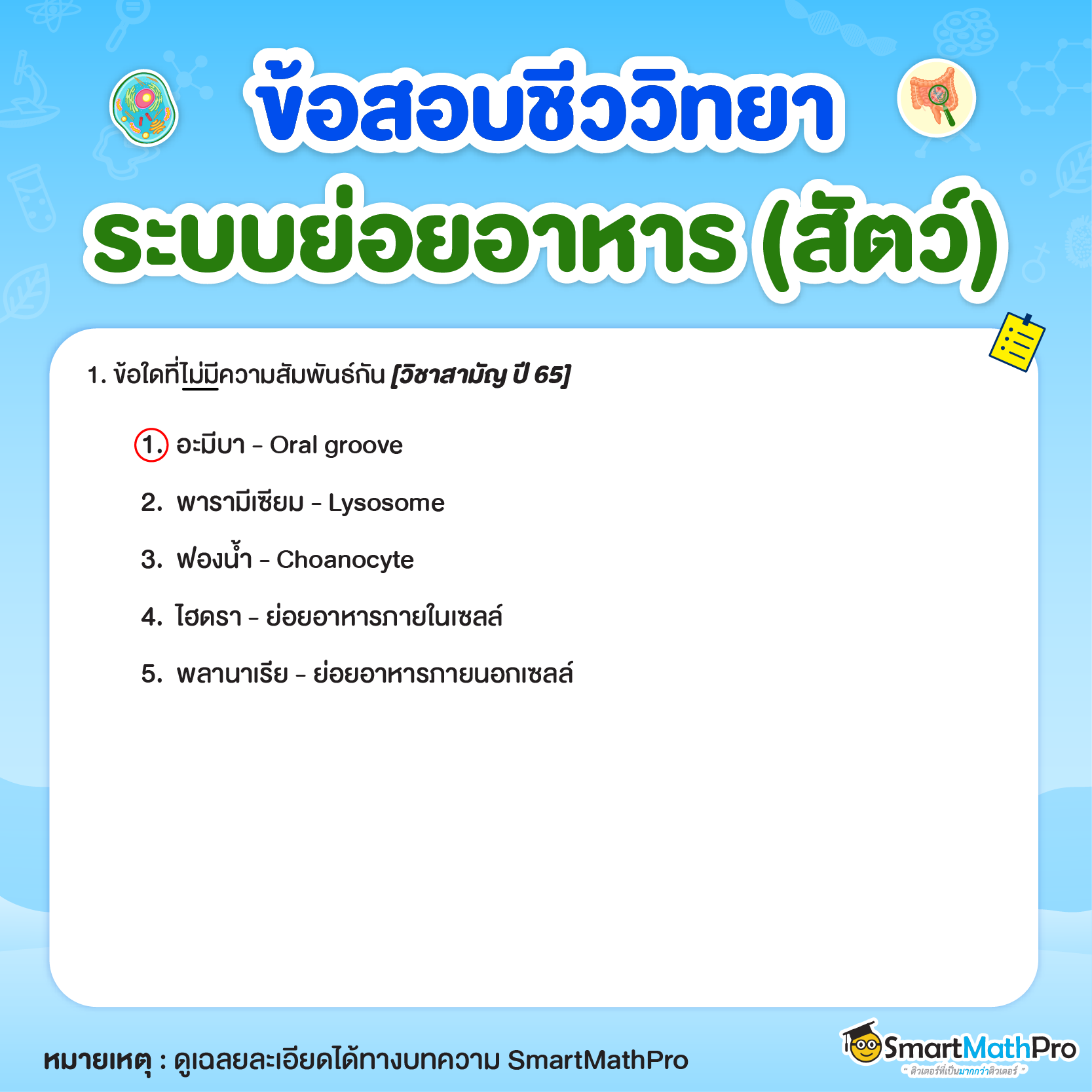 ระบบย่อยอาหารของสัตว์ - 15