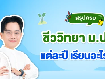 ชีววิทยา ม.ปลาย ม.4,5,6 เรียนอะไรบ้าง ตามหลักสูตร สสวท.
