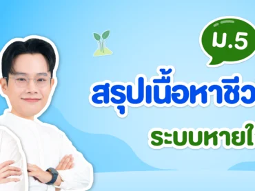ภาพปกระบบหายใจ ชีววิทยา ม.5