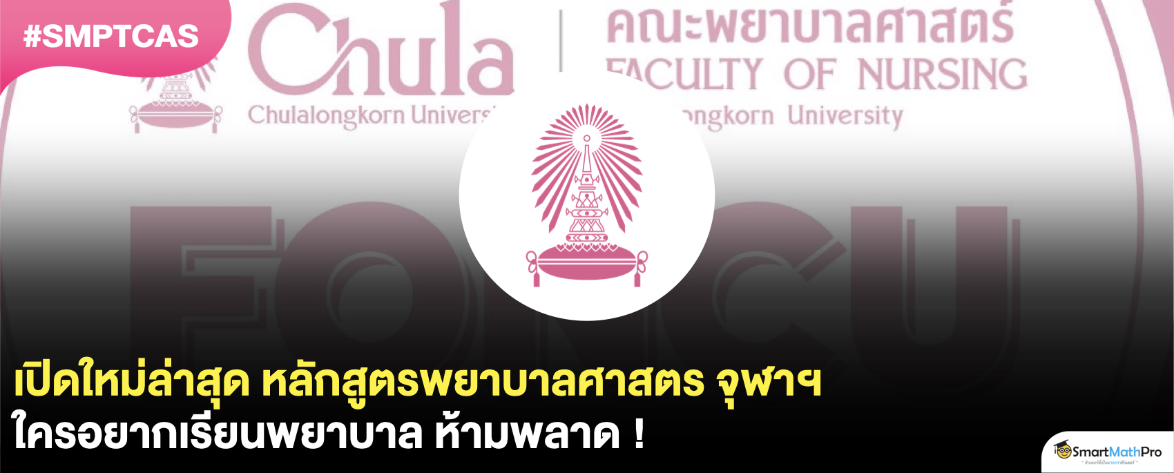 หลักสูตรพยาบาลศาสตร จุฬาฯ