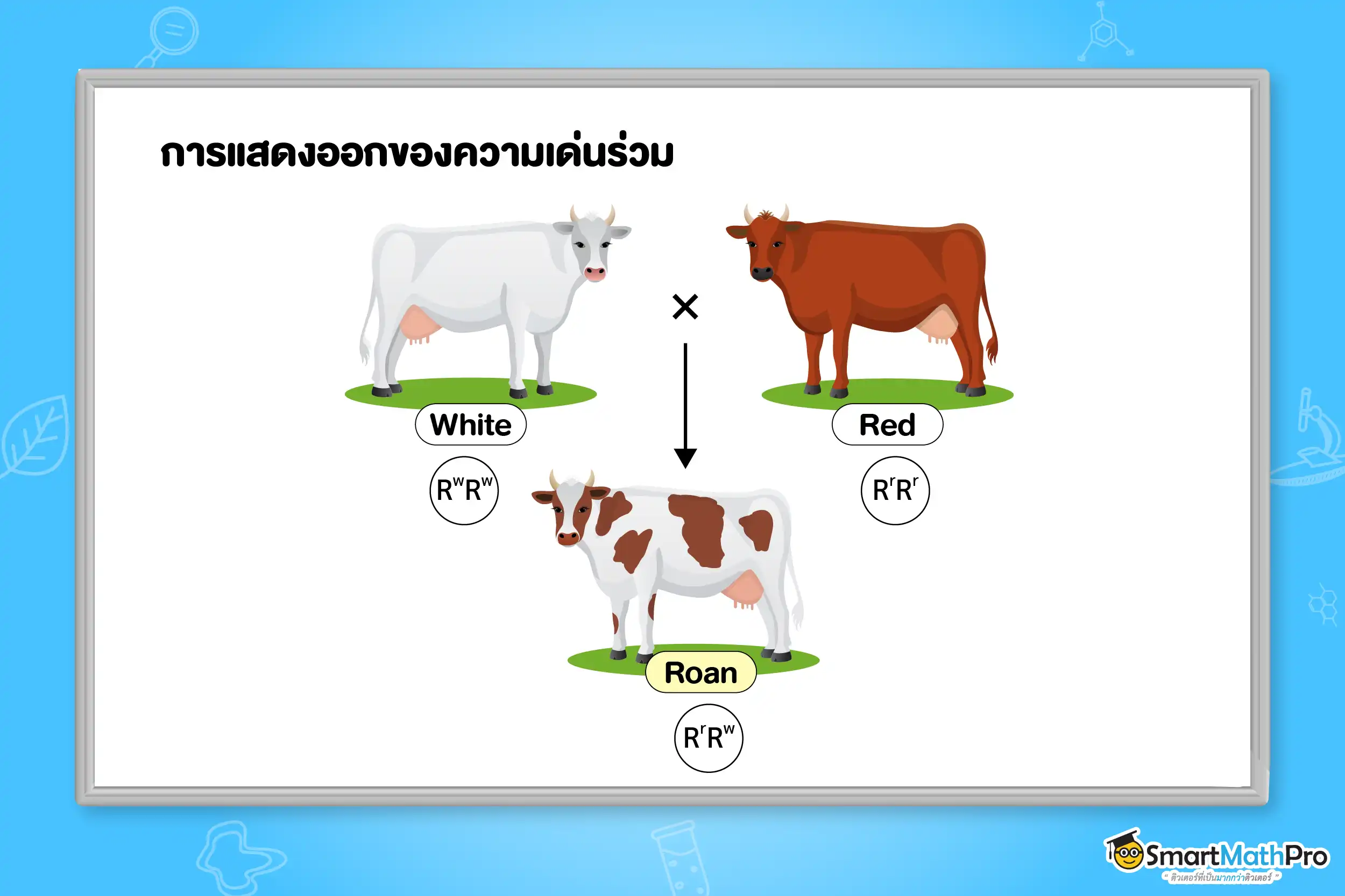 การแสดงออกของความเด่นร่วม