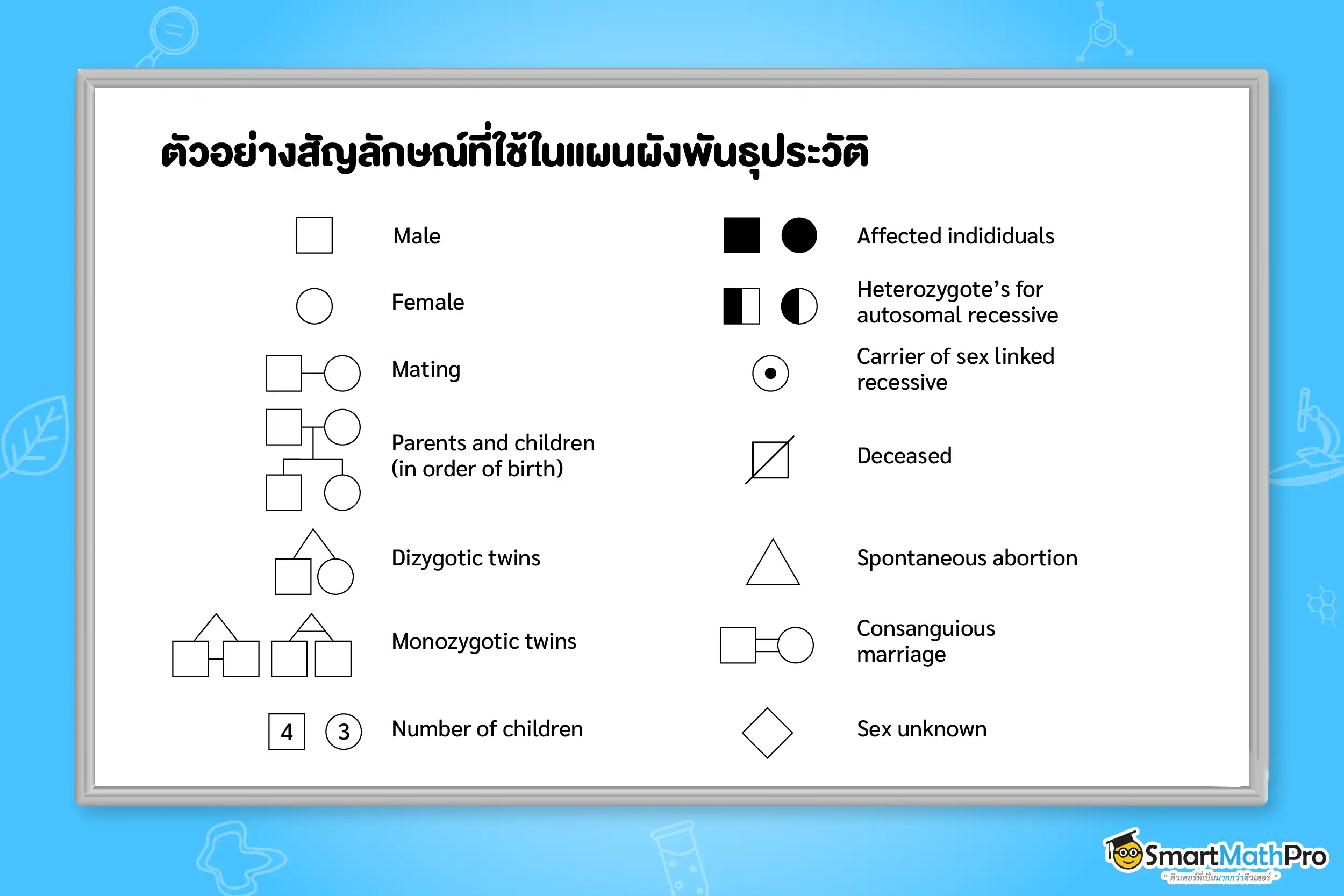 ตัวอย่างสัญลักษณ์ที่ใช้ในแผนผังพันธุประวัติ
