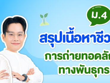 การถ่ายทอดลักษณะทางพันธุกรรม ภาพปก