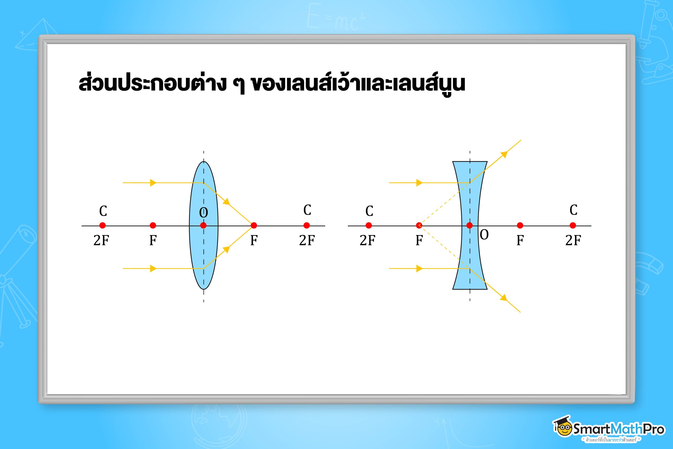 ส่วนประกอบต่าง ๆ ของเลนส์เว้าและเลนส์นูน