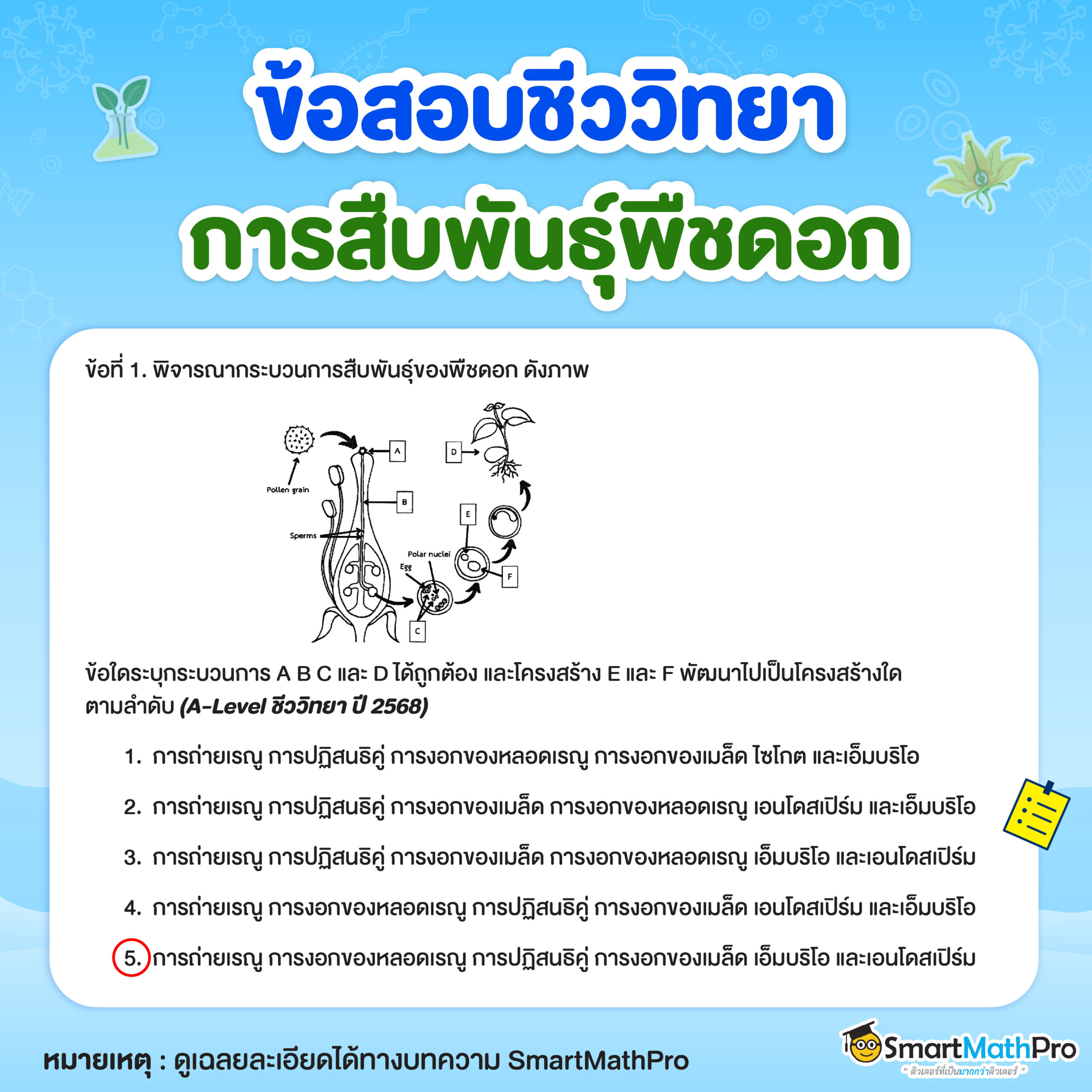 ข้อสอบการสืบพันธุ์พืชดอกข้อที่ 1