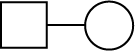 สรุป การถ่ายทอดลักษณะทางพันธุกรรม ชีววิทยา ม.4 พร้อมข้อสอบและเฉลย