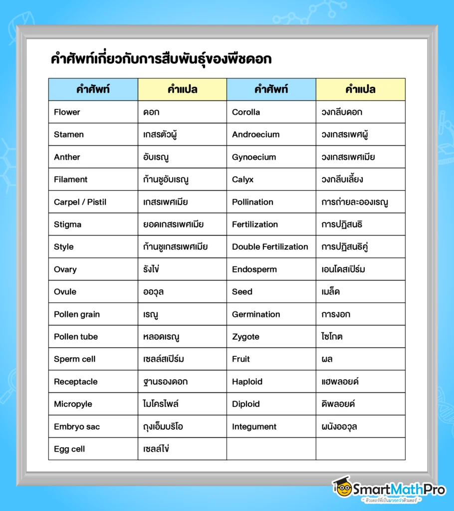 Reproduction-of flowering-plant-vocab